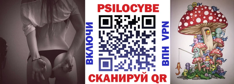 что такое   Ершов  Галлюциногенные грибы мицелий 